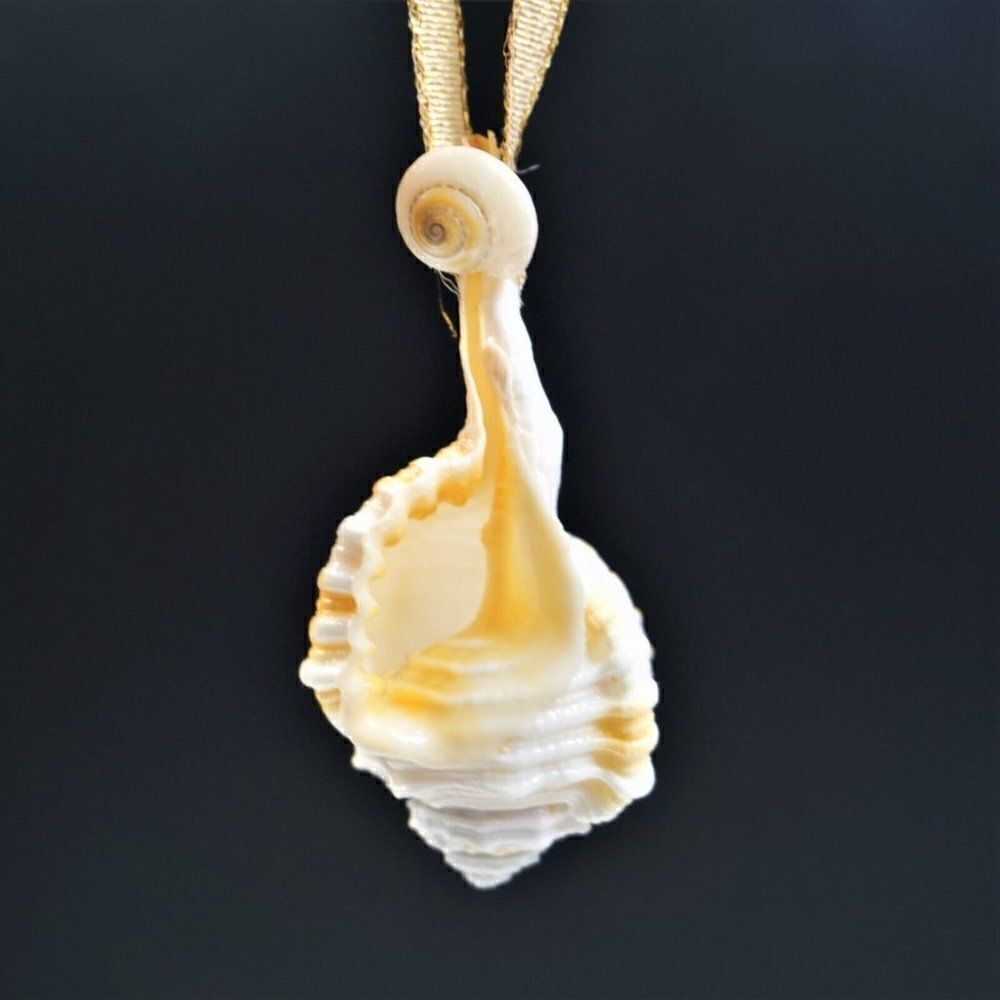 Vintage Conch Seashell Christmas Ornament Ocean Nature Nautical